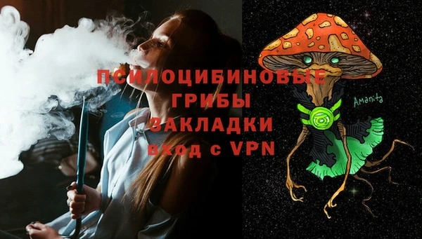 прущий лед Горняк