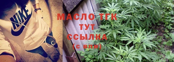 прущий лед Горняк