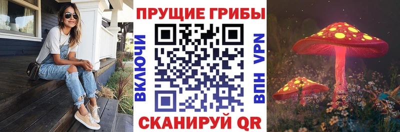 купить   Новое Девяткино  Галлюциногенные грибы Psilocybe 